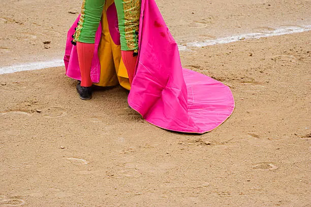 Bullfighter waiting for the bull to come