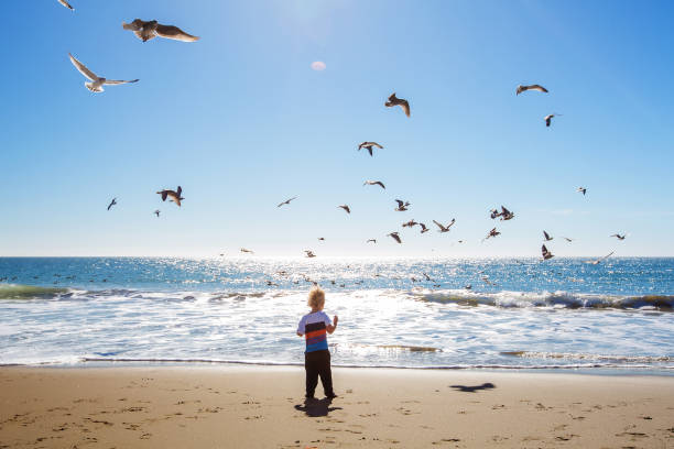 istock Happy and free boy on the beach with seagulls 1169971942