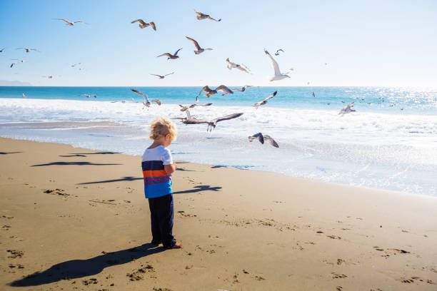 istock Happy and free boy on the beach with seagulls 1169971967