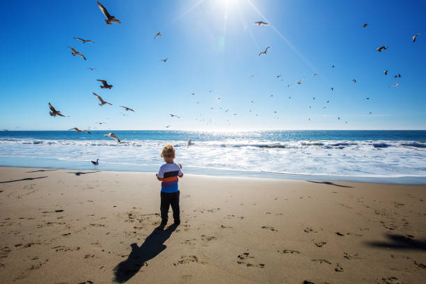istock Happy and free boy on the beach with seagulls 1169972079