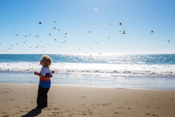istock Happy and free boy on the beach with seagulls 1169972091