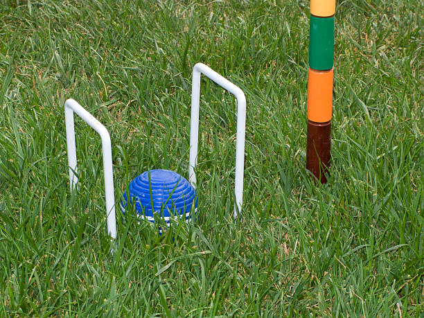 istock Back Yard Croquet, Lawn-Game, Wicket, Post, Ball, Sport, Outdoor, Activity 116997212