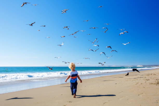 istock Happy and free boy on the beach with seagulls 1169972144