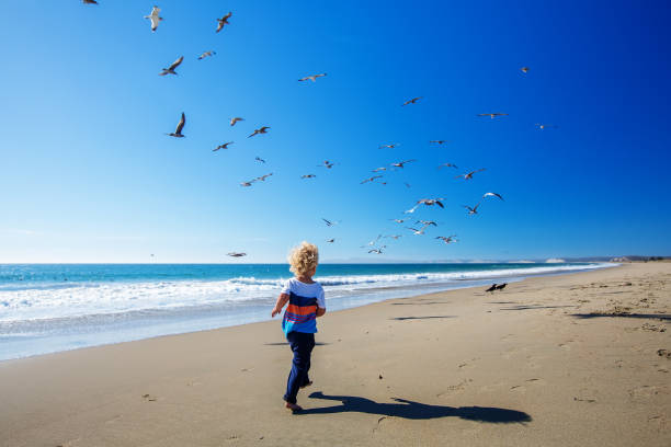 istock Happy and free boy on the beach with seagulls 1169972145