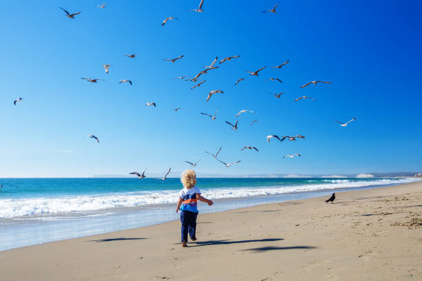 istock Happy and free boy on the beach with seagulls 1169972179
