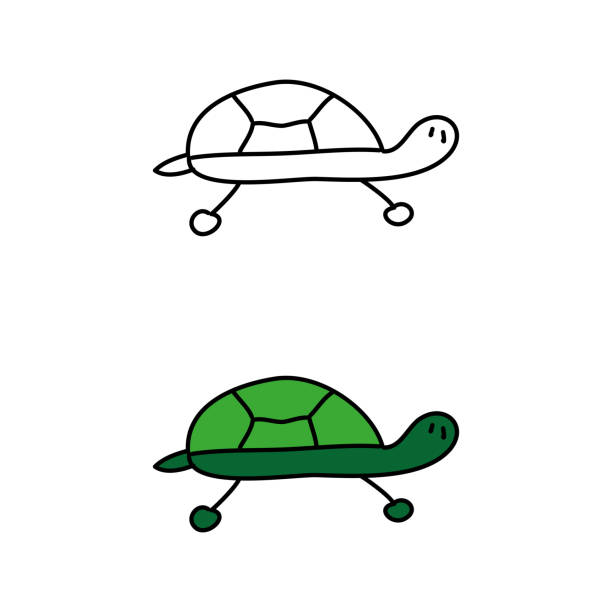 Turtle Shell Cut Out Side View 90+ Turtle Shell Side View Stock Illustrations, Royalty-Free Vector ...