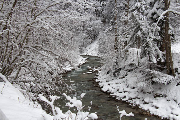 istock Cold river between trees in winter time. Garmisch-Partenkirchen. Germany. 1169976905