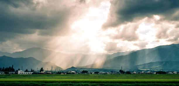 prachtige rijstvelden en bergen bij zonsondergang. prefectuur nagano, japan - hida bergketen stockfoto's en -beelden