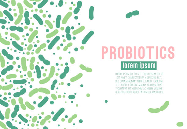 probiotika vektor poster - parasit stock-grafiken, -clipart, -cartoons und -symbole
