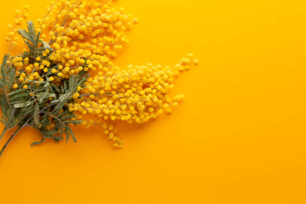istock Yellow flower pattern on a yellow background.  Spring greeting card. 1169986194