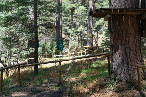 istock Entertainment zipline park on nature 1169990211