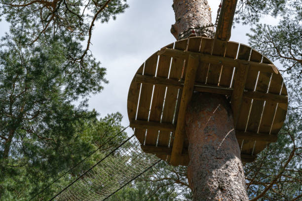 istock Plank platform on tree and rope bridge for extreme holiday 1169990668
