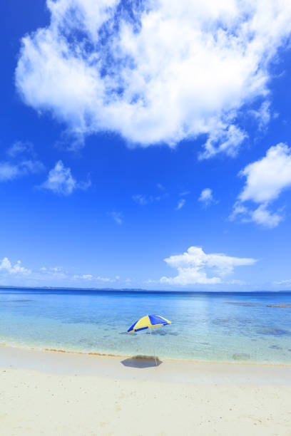 istock Tropical beach and sea. 1169992422
