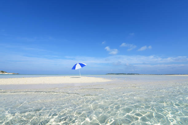 istock Tropical beach and sea. 1169993135