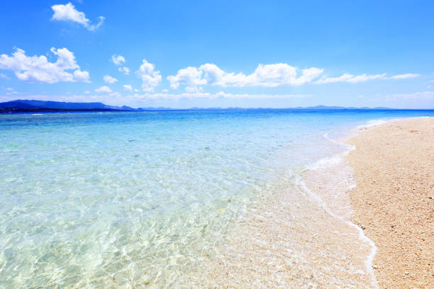 istock Tropical beach and sea. 1169993296