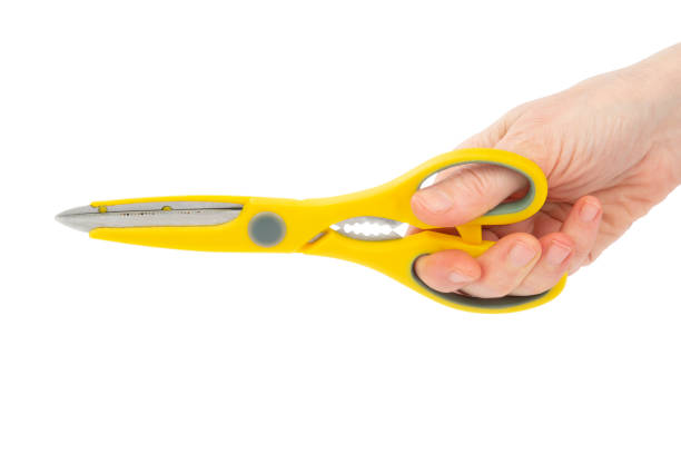 istock Scissors and Woman Hand on white Background 1169993384