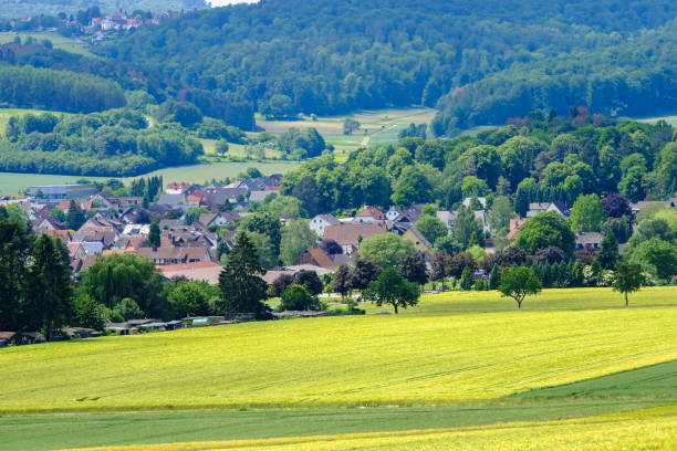 istock View on the agricultural fields with grain in Germany. 1169994144
