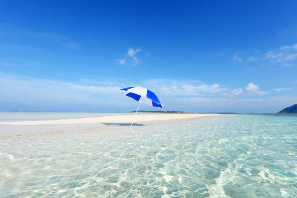 istock Beach and tropical sea. 1169994872