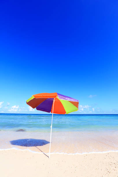 istock Beach and tropical sea. 1169994876