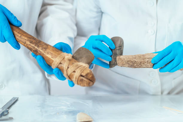 archaeology researcher reconstructing ancient tool - reconstructing imagens e fotografias de stock