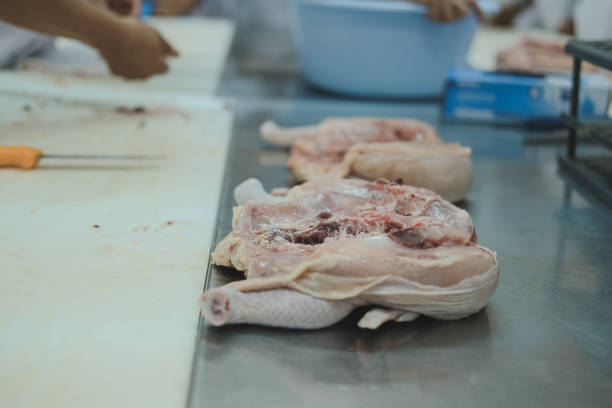 工場での鶏肉加工。食品産業における家禽生産 - food processing plant poultry chicken raw ストックフォトと画像