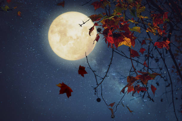 istock fall season in night skies background concept. 1170017687