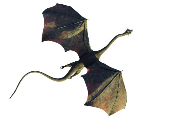 istock dragon, winged creature flying, top view isolated on white background (3d fantasy illustration) 1170020324