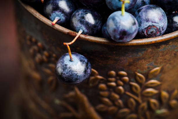 istock Freshly harvested blueberries in metal cup 1170021985
