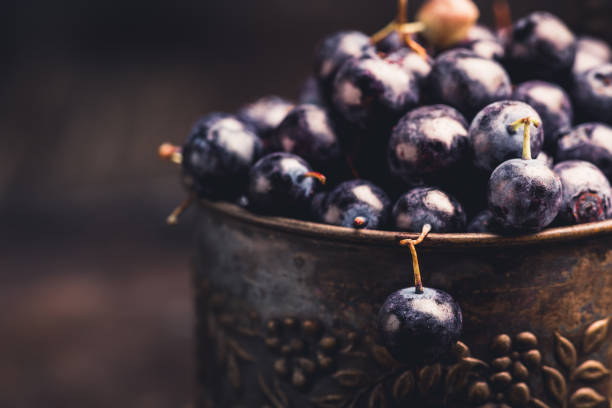 istock Freshly harvested blueberries in metal cup 1170021995