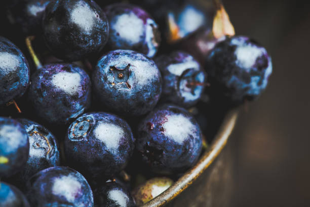 istock Freshly harvested blueberries in metal cup 1170022005