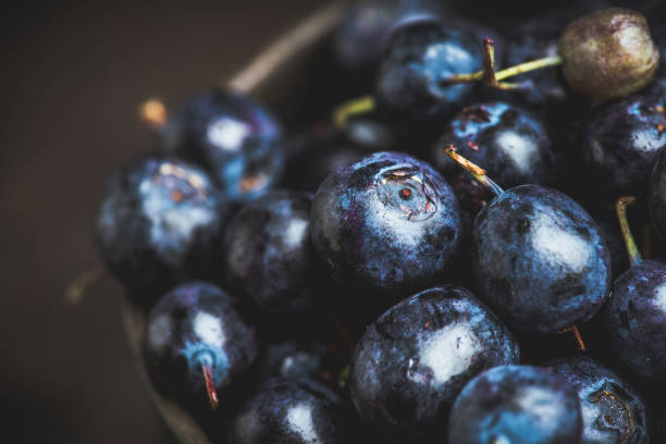 istock Freshly harvested blueberries in metal cup 1170022099