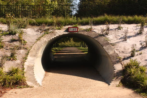 istock Tunnel  Pedestrian path in a public park 1170024422