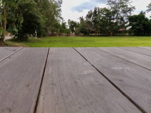 istock A wooden bridge on the rice field 1170026013