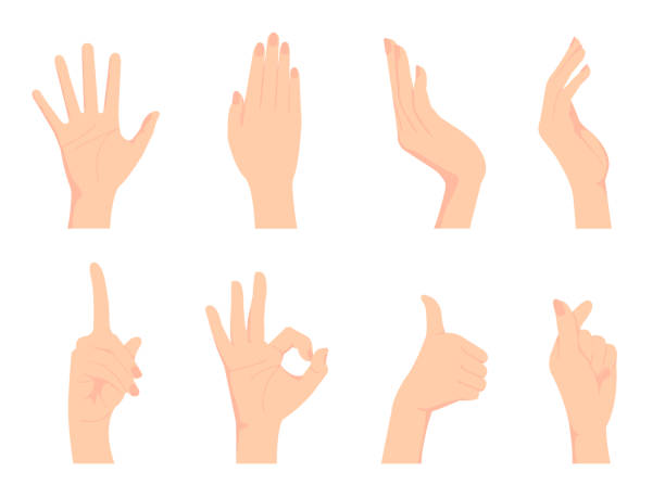 kobiecy gest dłoni (znak dłoni) zestaw ilustracji wektorowych / ok znak, kciuk w górę, palec serca itp. - dłoń stock illustrations