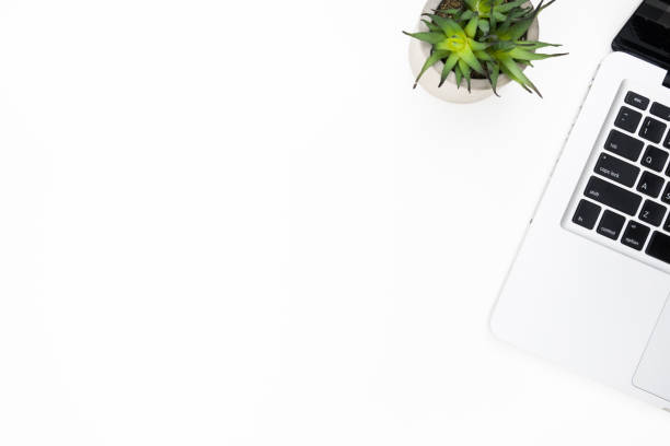istock White minimal office desk table with laptop computer and cactus pot. Top view with copy space, flat lay. Hipster desktop concept. 1170033298