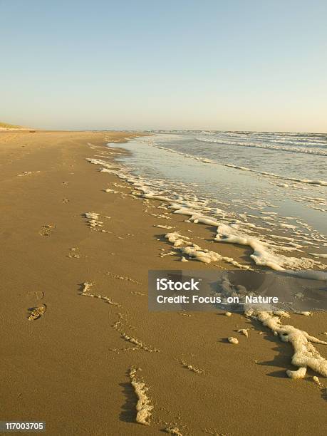 Foam On Beach Stock Photo - Download Image Now - Beach, Blue, Breaking Wave