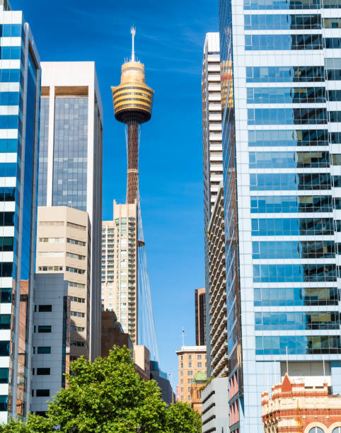 istock Sydney skyline from street level on a beautiful day 1170038167