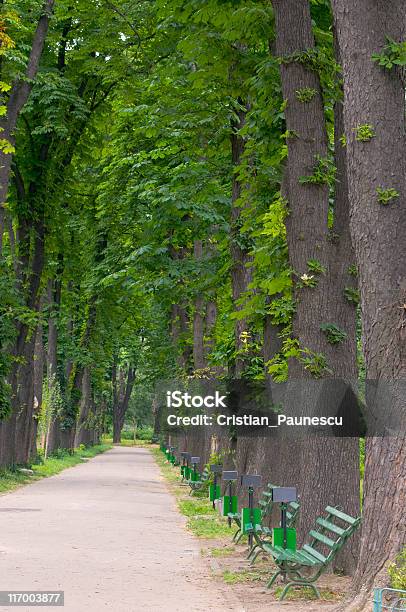 Park Stock Photo - Download Image Now - Bench, Color Image, Environment