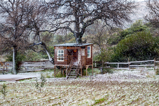 Snowfall and Tree House
