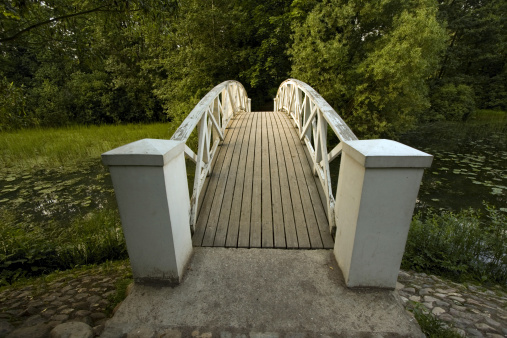 Pier for park visitors. two steps lead to it. planks terrace over water. Pond with a dock for boats. floor plan of a rectangle. the terrace has no railings.