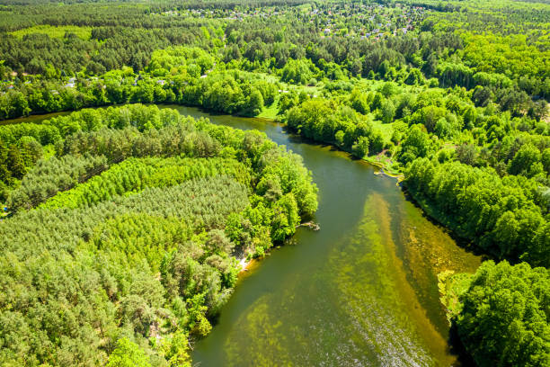 istock Winding river among the forest, Poland from above 1170048207