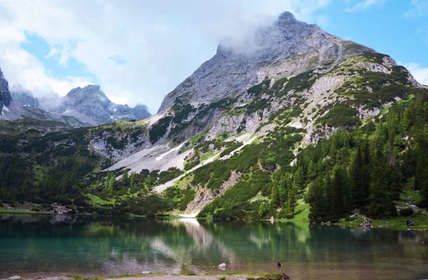 istock Seebensee, an alpine lake  in Tyrol, Austria 1170051033