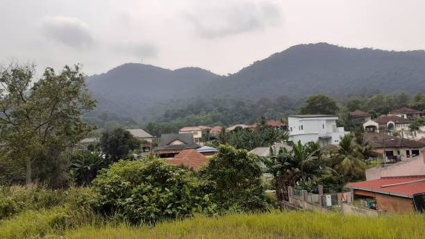 istock the mount of gunung lambak 1170051900