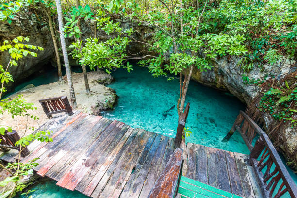 Gran Cenote, Tulum, Mexico he Gran Cenote is one of the most famous cenotes in Mexico, Tulum, Riviera Maya. cenote stock pictures, royalty-free photos & images