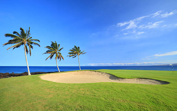 hawaii campo da golf - big island isola di hawaii foto e immagini stock