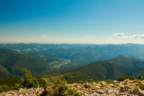 istock Beautiful mountain landscape, with mountain peaks covered with forest and a cloudy sky. Ukraine mountains, Europe 1170068708
