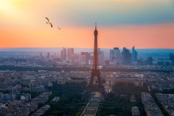 istock View of Paris with Eiffel Tower from Montparnasse building. Eiffel tower view with flying birds from Montparnasse at sunset, view of the Eiffel Tower and La Defense district in Paris, France. 1170070704