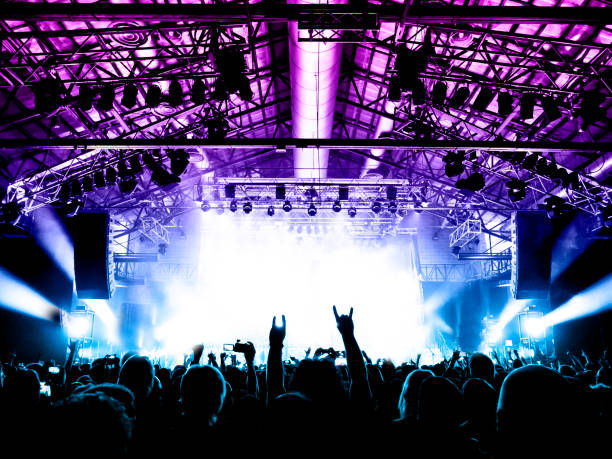 istock Music festival crowd 1170071029