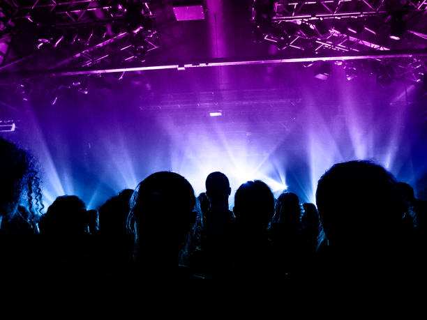 istock Music festival crowd 1170071077