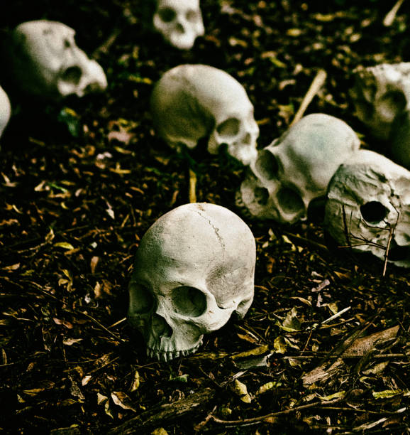 istock Many human skulls in mass grave in forest. Heavy grain added 1170073628